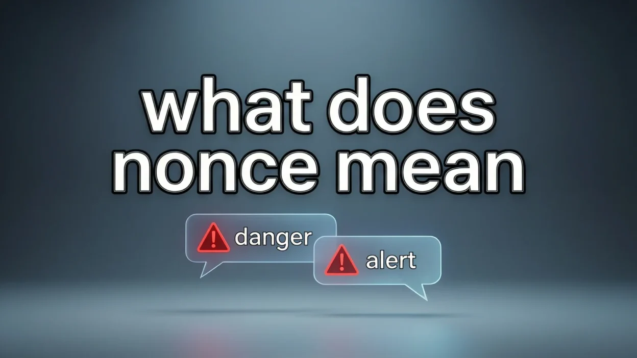 What Does Nonce Mean
